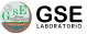 cropped logo gse 2.1.png